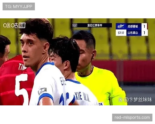裁判出牌标准：什么动作该吃黄牌还是红牌？